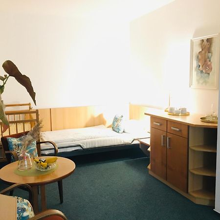 Penzion Hotelu Central Dvůr Králové nad Labem Dış mekan fotoğraf