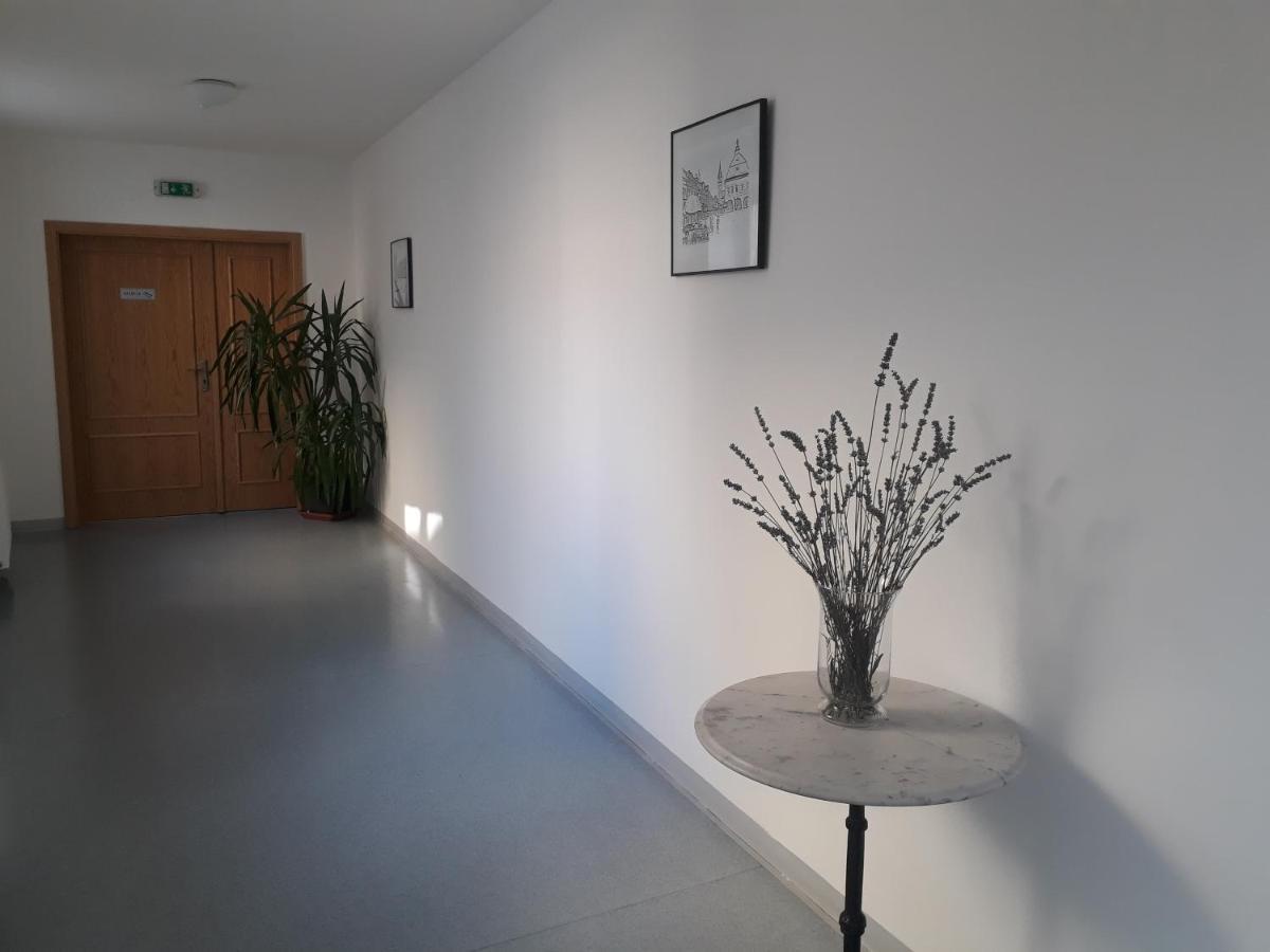 Penzion Hotelu Central Dvůr Králové nad Labem Dış mekan fotoğraf