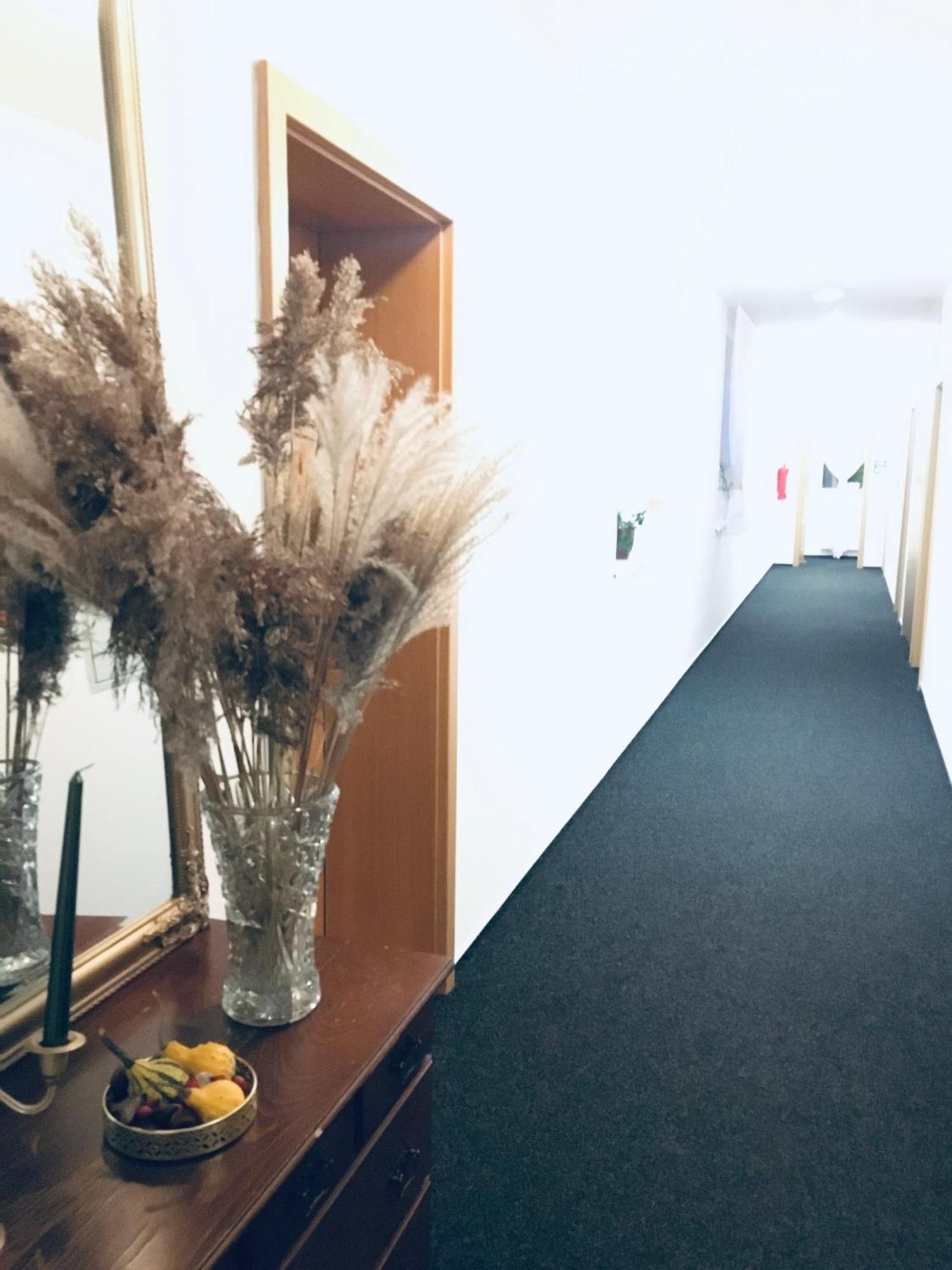 Penzion Hotelu Central Dvůr Králové nad Labem Dış mekan fotoğraf