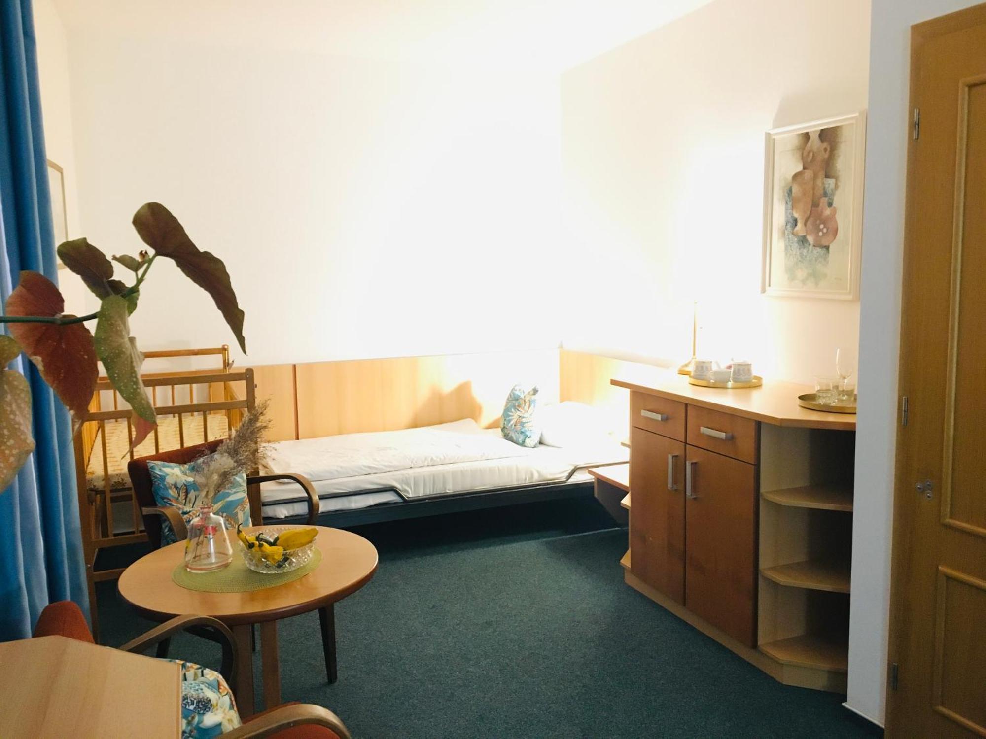 Penzion Hotelu Central Dvůr Králové nad Labem Dış mekan fotoğraf