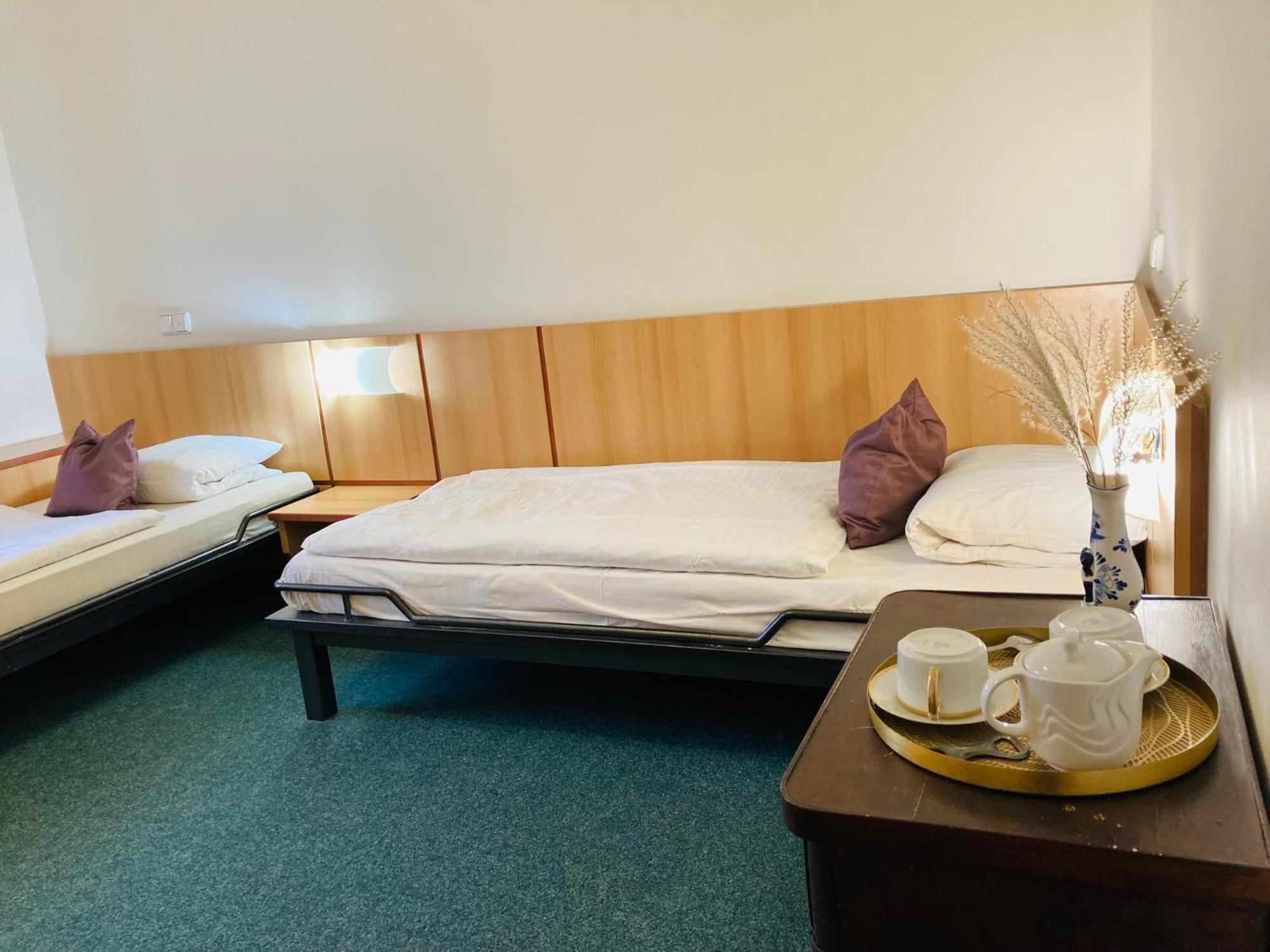 Penzion Hotelu Central Dvůr Králové nad Labem Oda fotoğraf