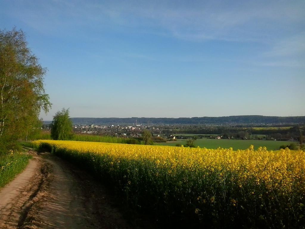Penzion Hotelu Central Dvůr Králové nad Labem Dış mekan fotoğraf